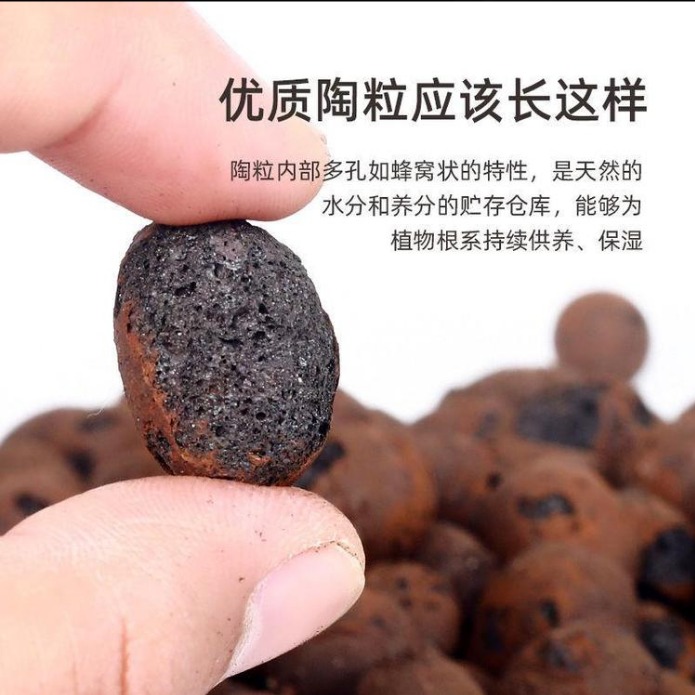 滨州优质陶粒